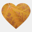 Search for gold maple leaf stickers Nature