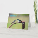 Search for bird mom cards Birdie