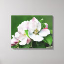 Search for spring bloom art Nature