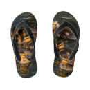 Search for duck with flipflops Waterfowl