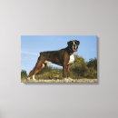 Search for boxer dog canvas prints Standing
