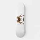 Search for arachnid skateboards Cartoon