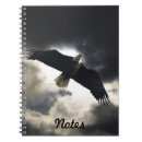 Search for flying eagle photography Eagles