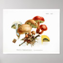 Search for mushroom art Vintage