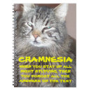 Search for cram Study