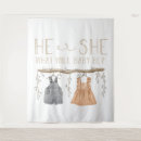 Search for gender reveal backdrops He or she