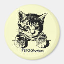 Search for pussi magnets Kitten