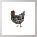 Search for black and white bird art Hand drawn