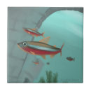 Search for tetra Aquarium