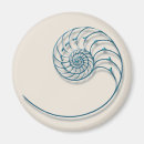 Search for sea shell magnets Nautilus