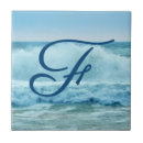 Search for crash tiles Seascape