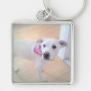 Search for sweet dog key rings Adorable