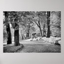 Search for lake como posters Landscape