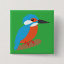 Search for kingfish badges Nature