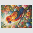 Search for sun conure Parrot