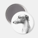 Search for whippet magnets Greyhound