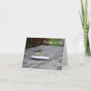Search for feed cards Photograph
