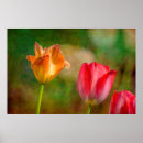 Search for textured background posters Flower