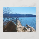 Search for hidden postcards Outdoors