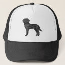Search for black lab hats Cute