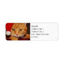 Search for santa return address labels Cat lover