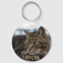 Search for tabbies key rings Grey