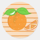 Search for cute orange fruit stickers fun