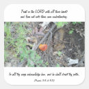 Search for 6 stickers Photography