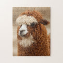Search for alpaca puzzles Cute