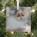 Search for mammal christmas tree decorations Cat