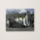 Search for antarctic puzzles Environment