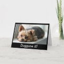 Search for pups cards Puppies