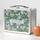 Search for koala lunch boxes Australian animal