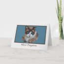 Search for loss of pet sympathy cards Feline