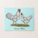 Search for chicken egg puzzles Bird