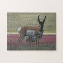 Search for americana puzzles Antelope