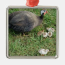 Search for guinea fowl decor Hen