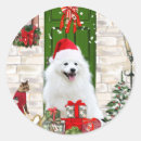 Search for spitz stickers Dog