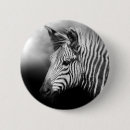 Search for herbivorous badges Mammal
