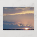 Search for beach sunset postcards Seagull