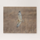 Search for ear puzzles Animal