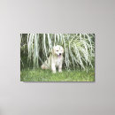 Search for sitting canvas prints Dog
