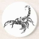 Search for arachnid coasters Animals