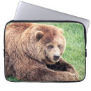 Search for bear laptop cases Photograph