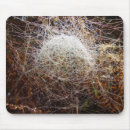 Search for spider webs mouse mats Cobweb