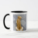 Search for rear mugs High angle view