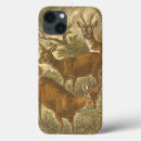 Search for deer cases Animal
