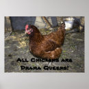 Search for funny chicken posters Fowl