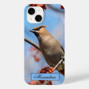 Search for bohemian cases Brown