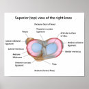 Search for clinic posters Chiropractic